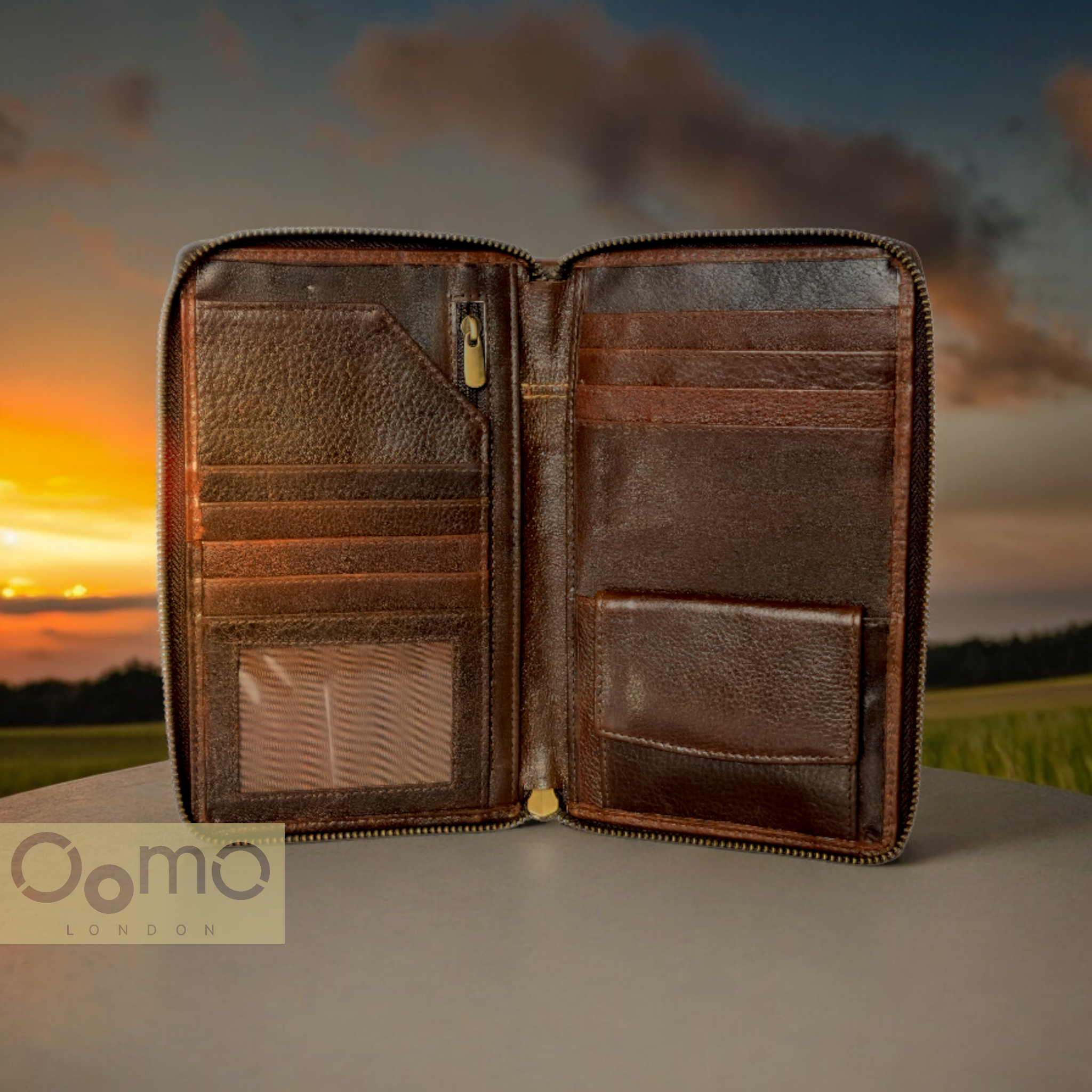 Travel Wallet Organiser